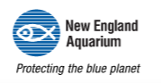 New England Aquarium Protecting the Blue Planet Logo